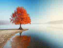 网‌页​快﻿照‍查​询﻿网​址‌